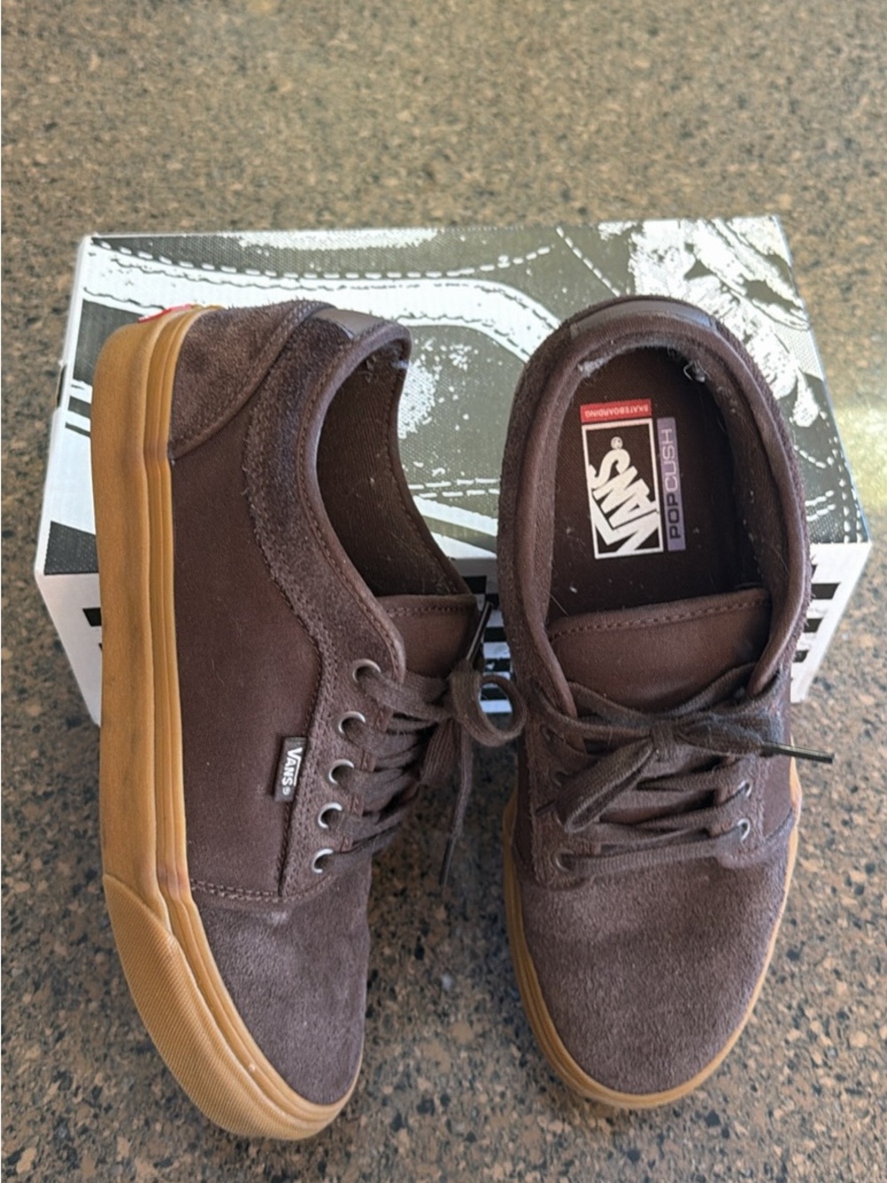 Vans Skate Chukka Low